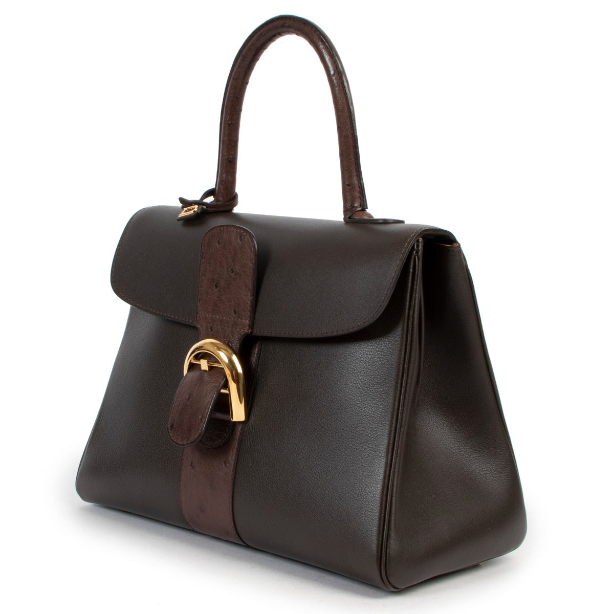 Delvaux Brillant MM Brown Ostrich/Calfskin Leather Handbag