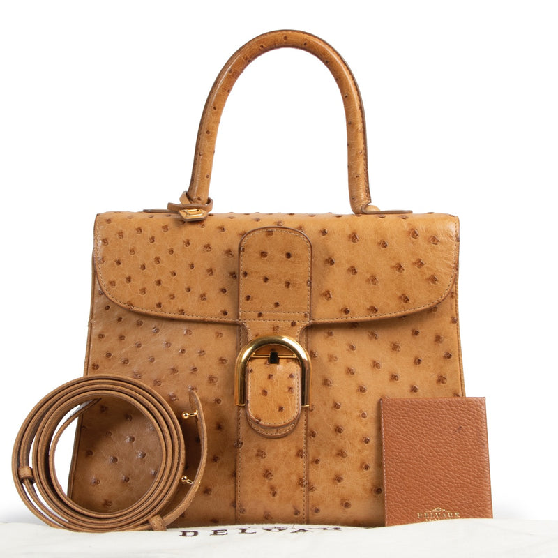 acheter en ligne seconde main Delvaux Brillant ostrihc