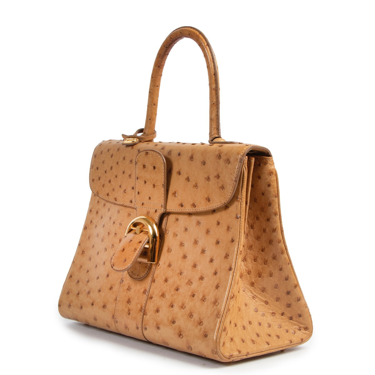 100% authentieke Delvaux Brillant ostrich