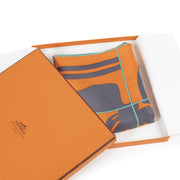 Hermès Silk Carré Scarf En Desordre