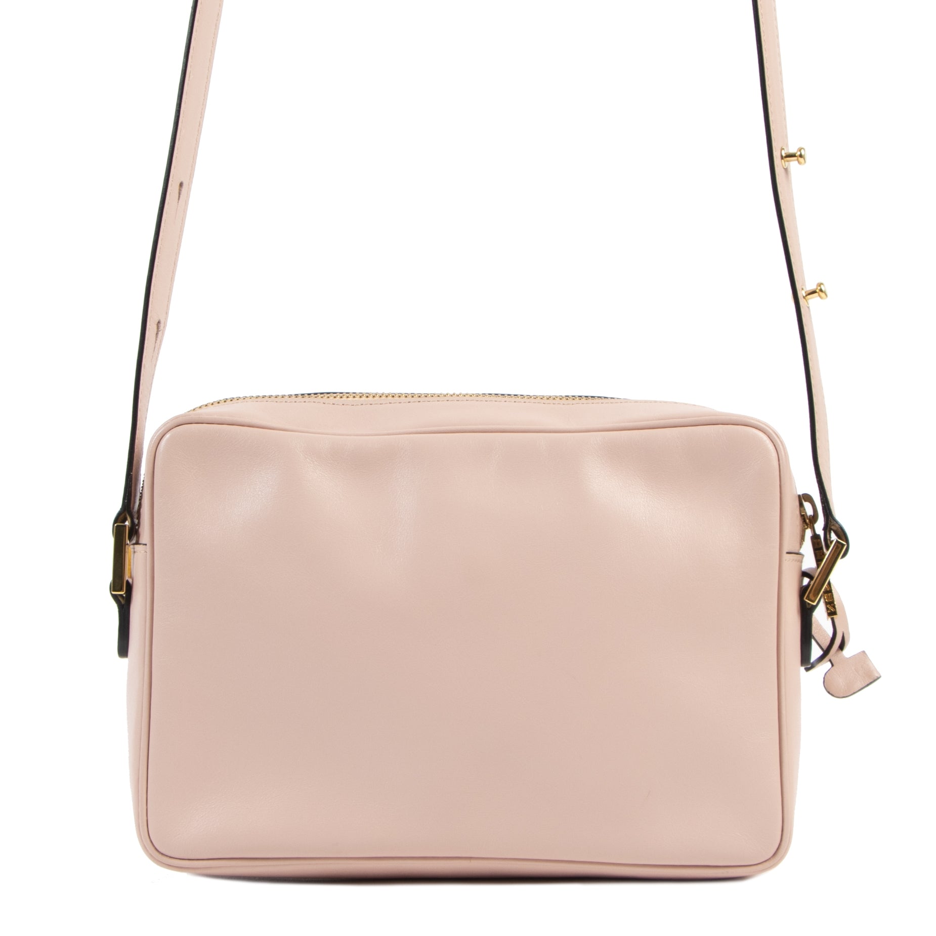 shop safe online Delvaux Louise Dusty Pink Crossbody Bag