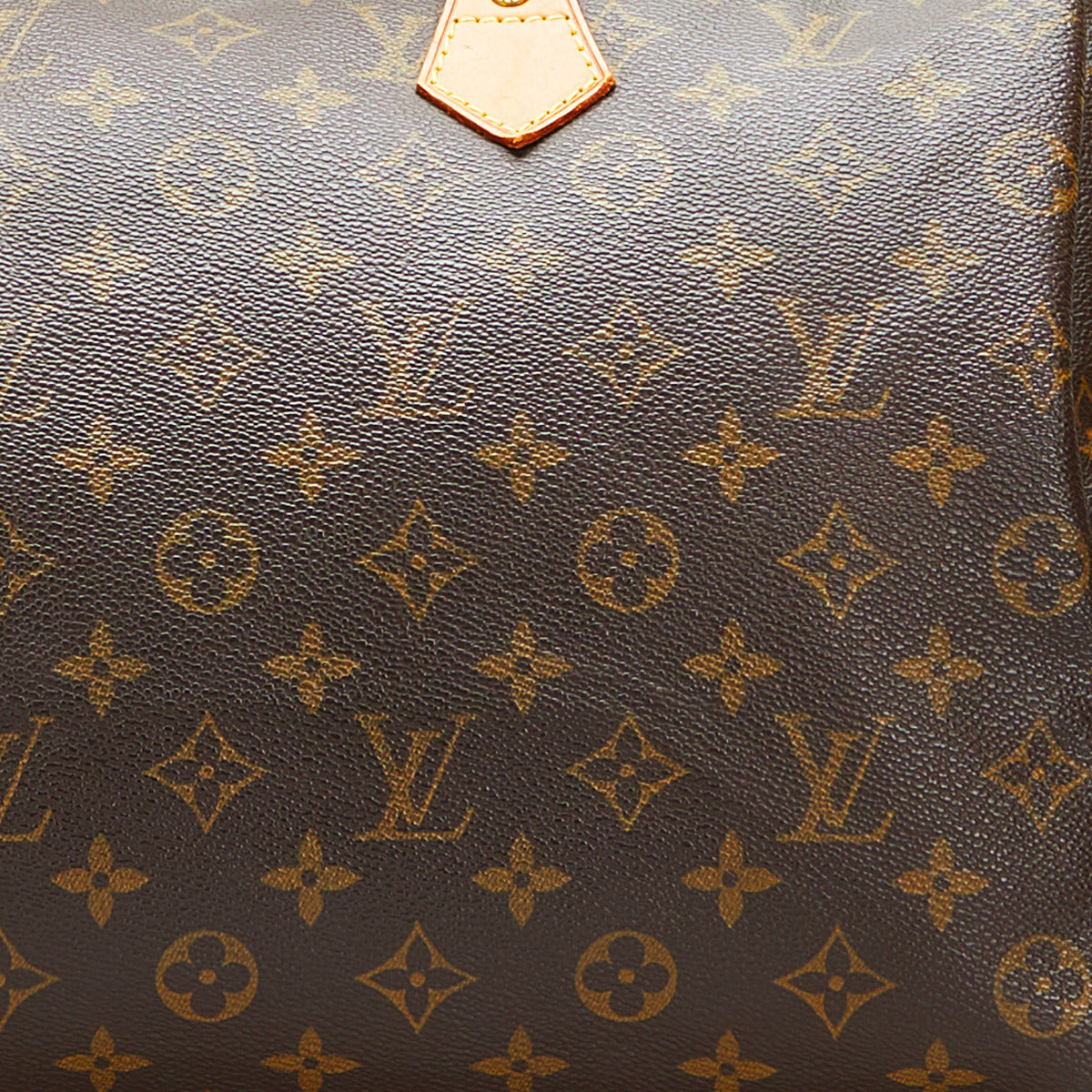 Louis Vuitton Monogram Speedy 35