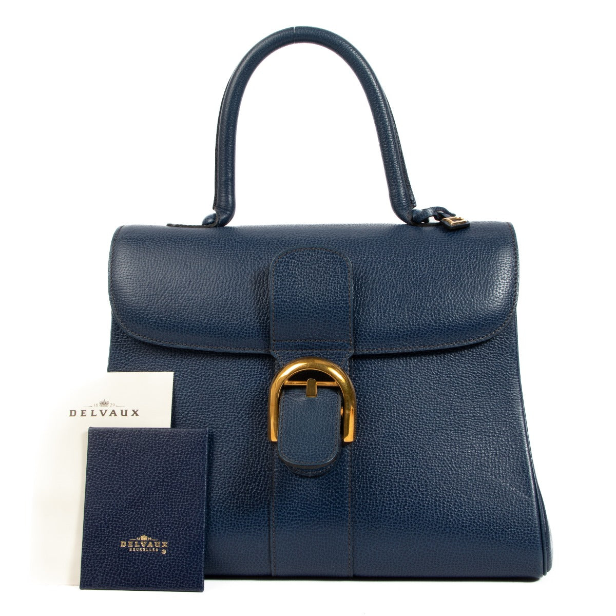Delvaux Brillant MM Blue Jumping