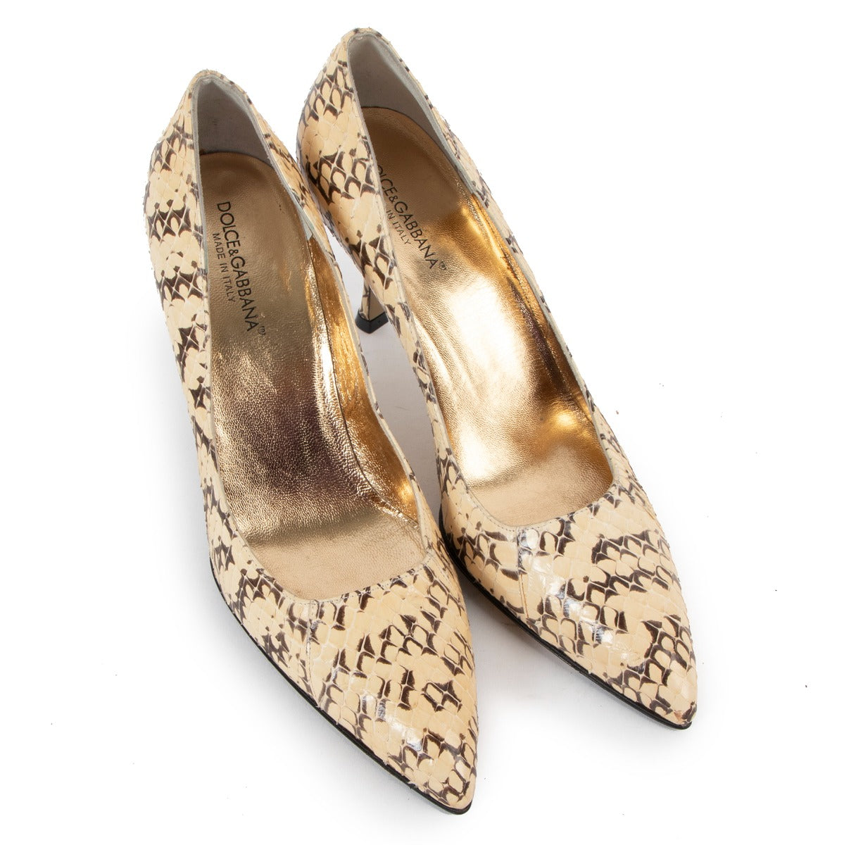Dolce & Gabbana Python Pumps