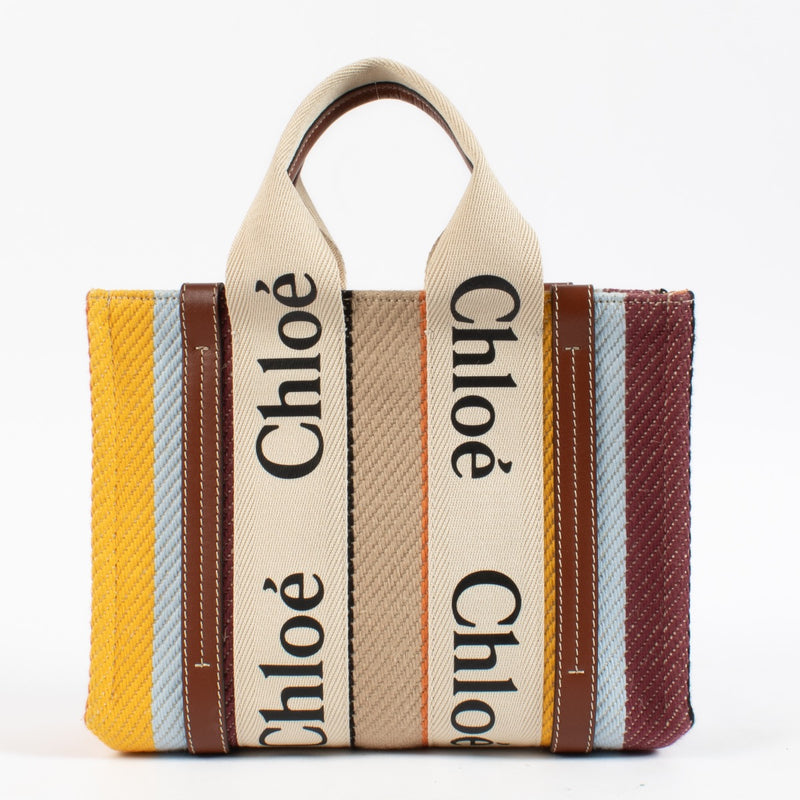 Chloé Multicolor Woody Small Bag