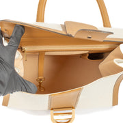 Buy authentic second hand Delvaux Ivory/Vegetal Toile Sangle Brillant GM at Labellov.com
