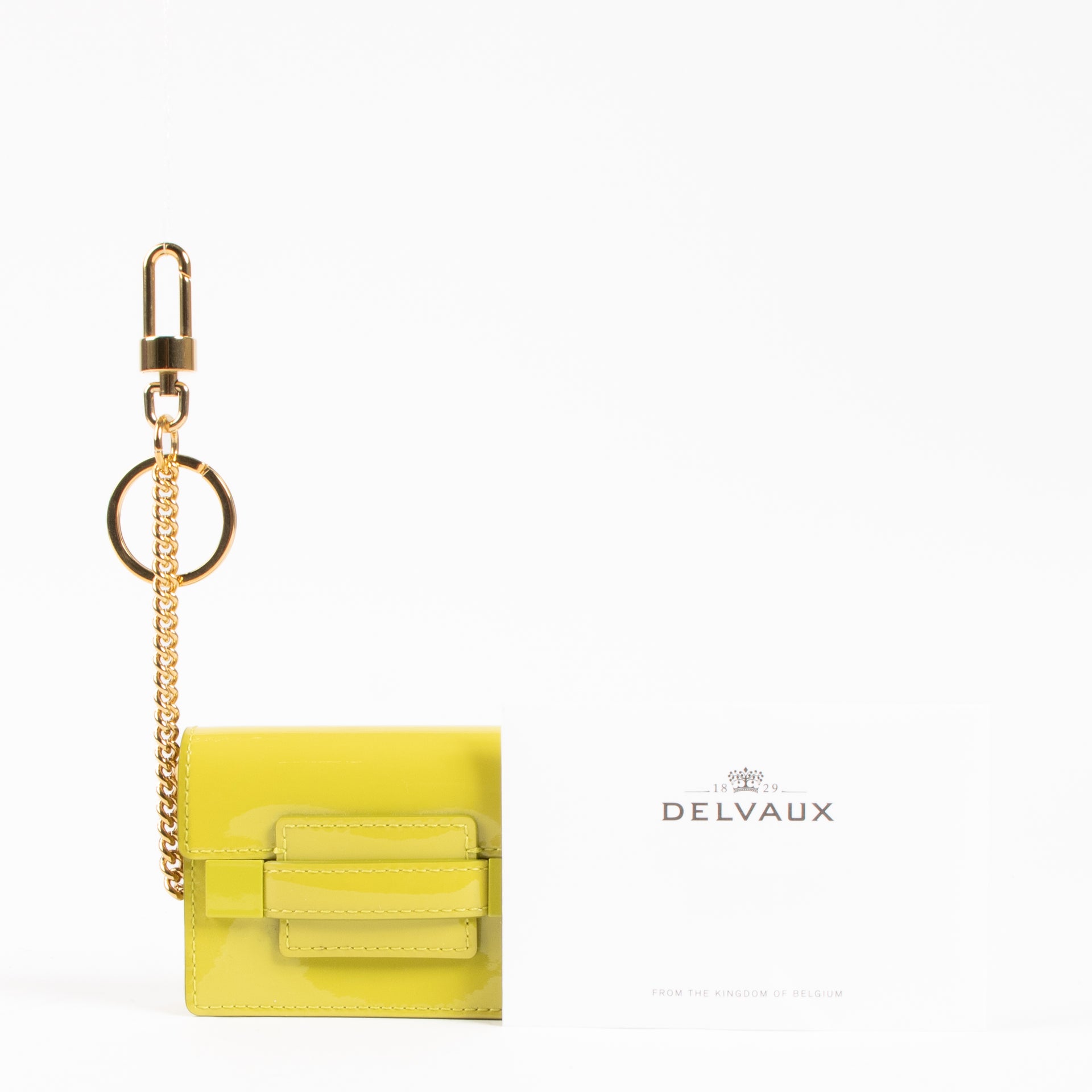 Shop the authentic Delvaux Absinthe Vernis Madame Charms on Labellov.com !