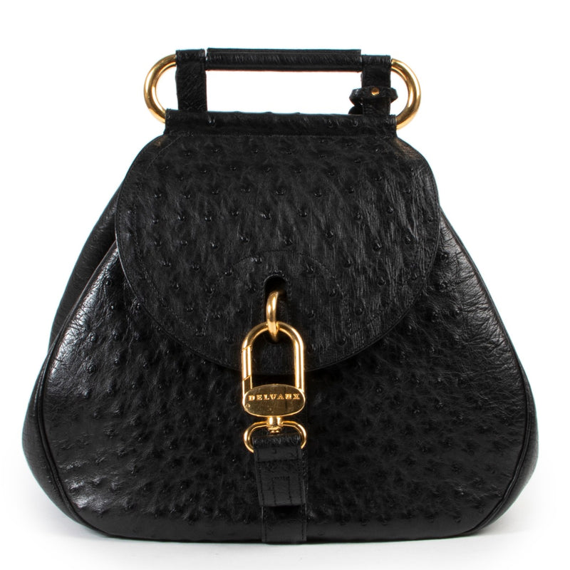 Delvaux Black Ostrich Cerceau Bag