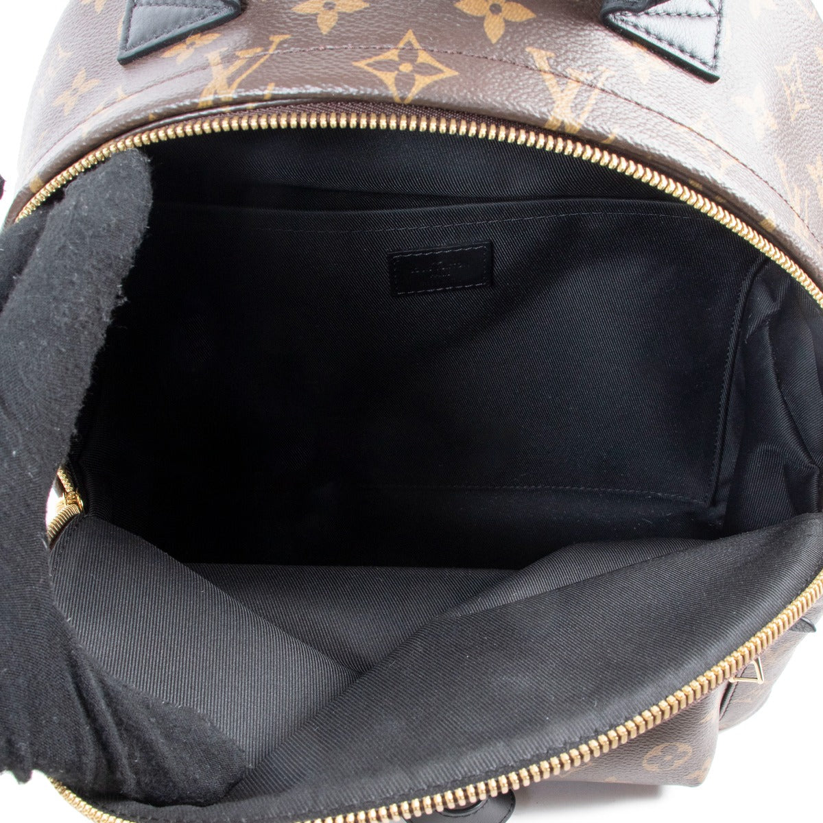 Louis Vuitton Palm Springs MM Backpack Monogram Canvas