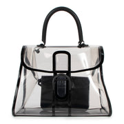 Delvaux Brillant X-Ray Transparent PV Limited Edition