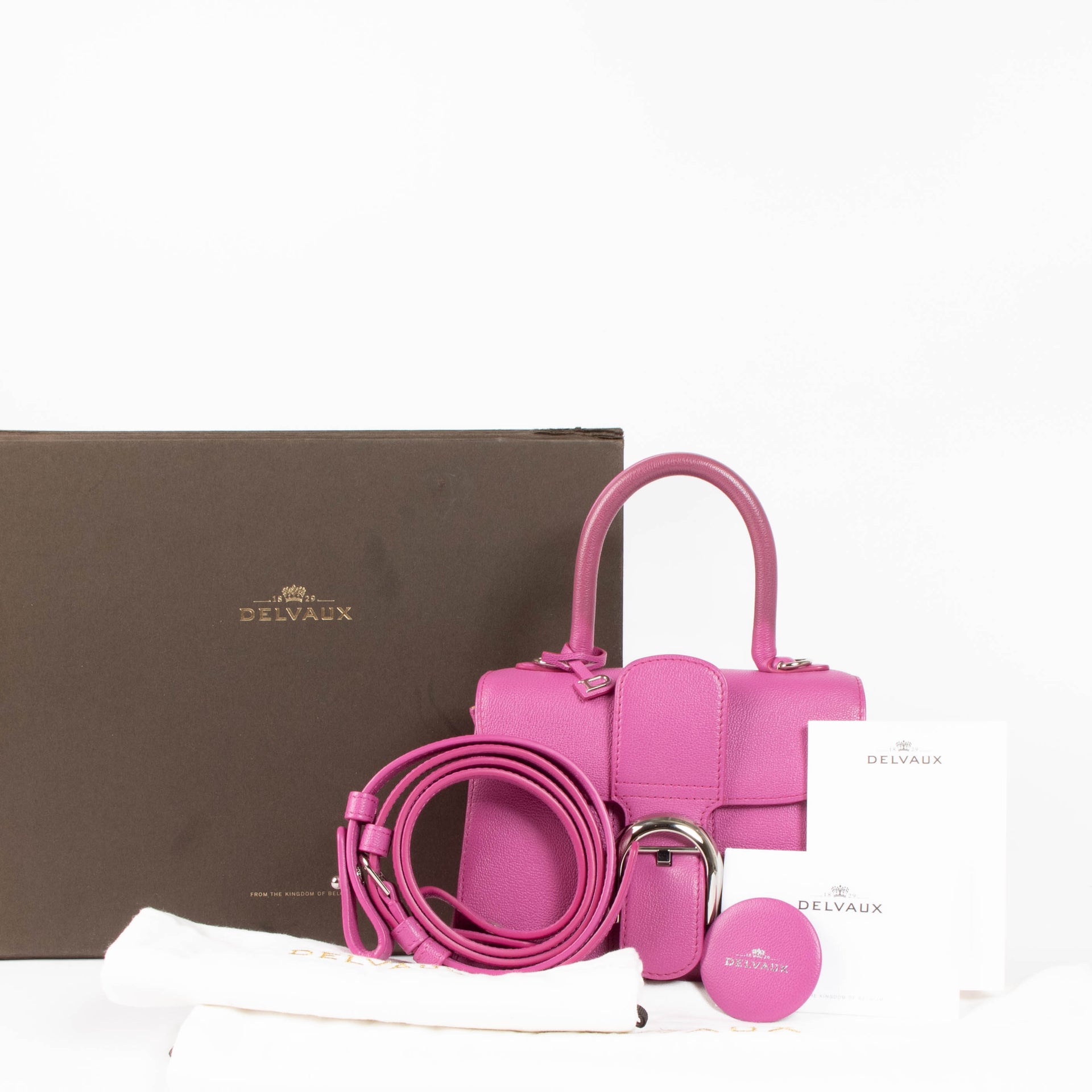 Delvaux Heliotrope Rodeo Calf Brillant Mini Bag
