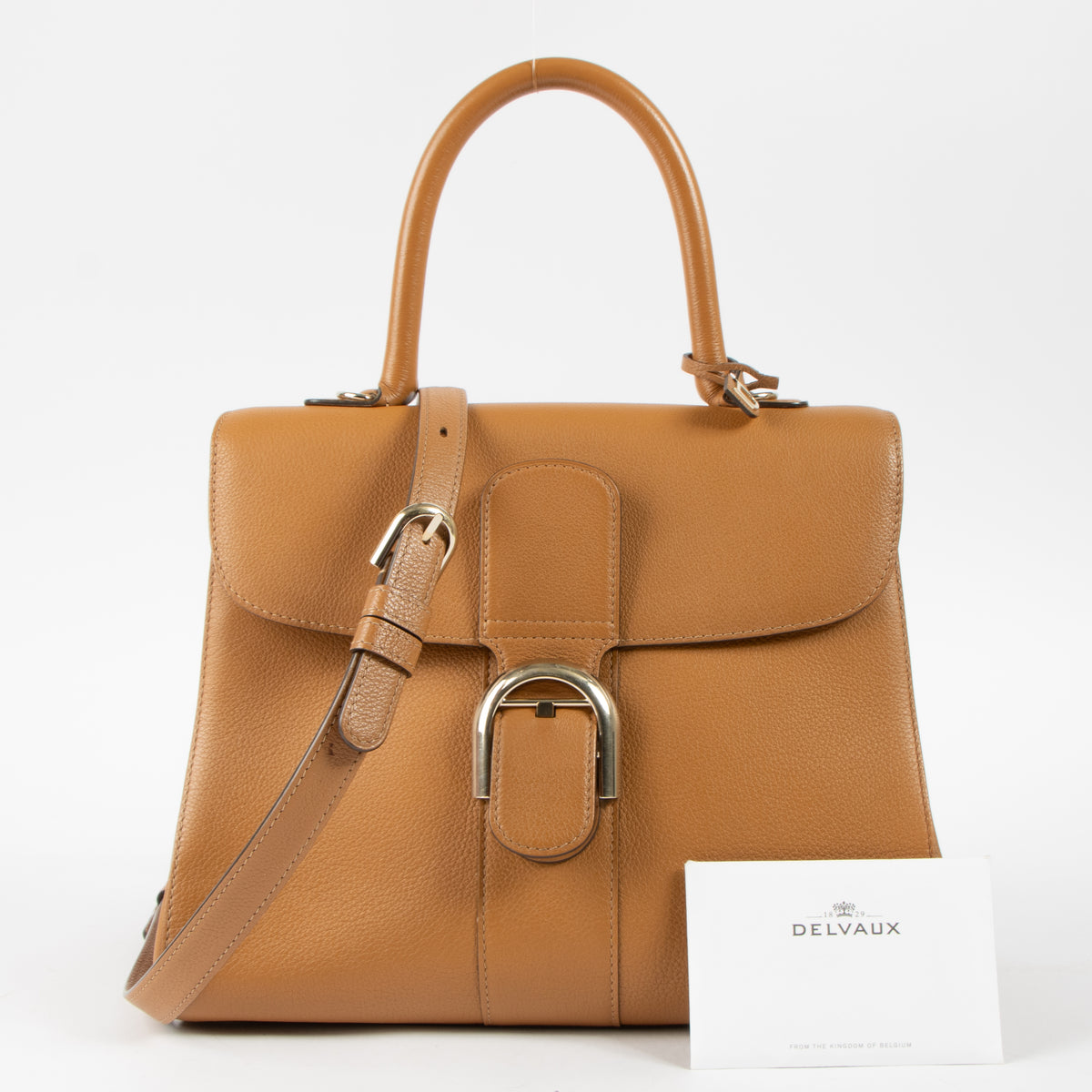 Delvaux Vegetal Sellier Brillant MM