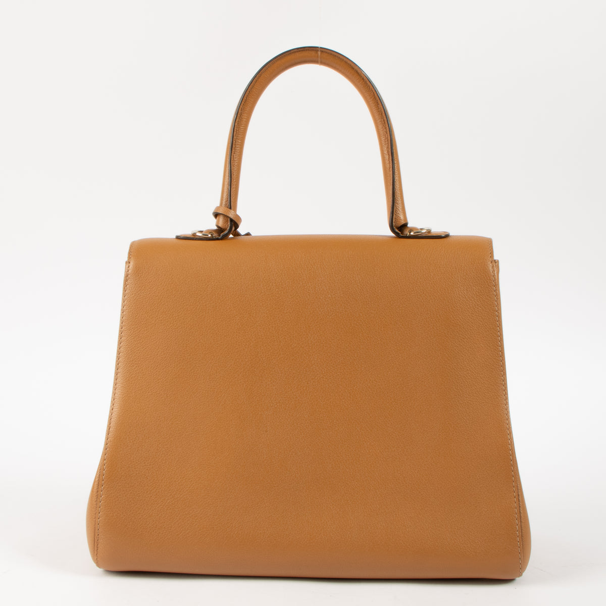 Delvaux Vegetal Sellier Brillant MM