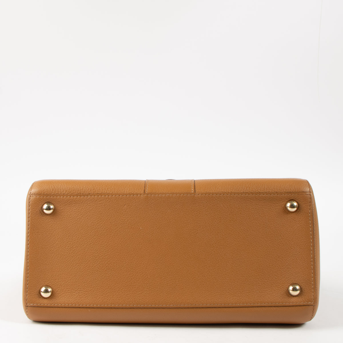 Delvaux Vegetal Sellier Brillant MM
