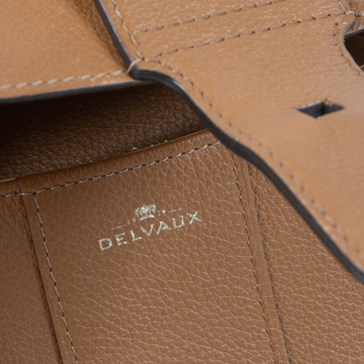 Delvaux Vegetal Sellier Brillant Mini Bag