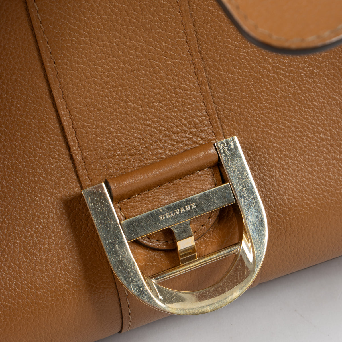 Delvaux Vegetal Sellier Brillant Mini Bag