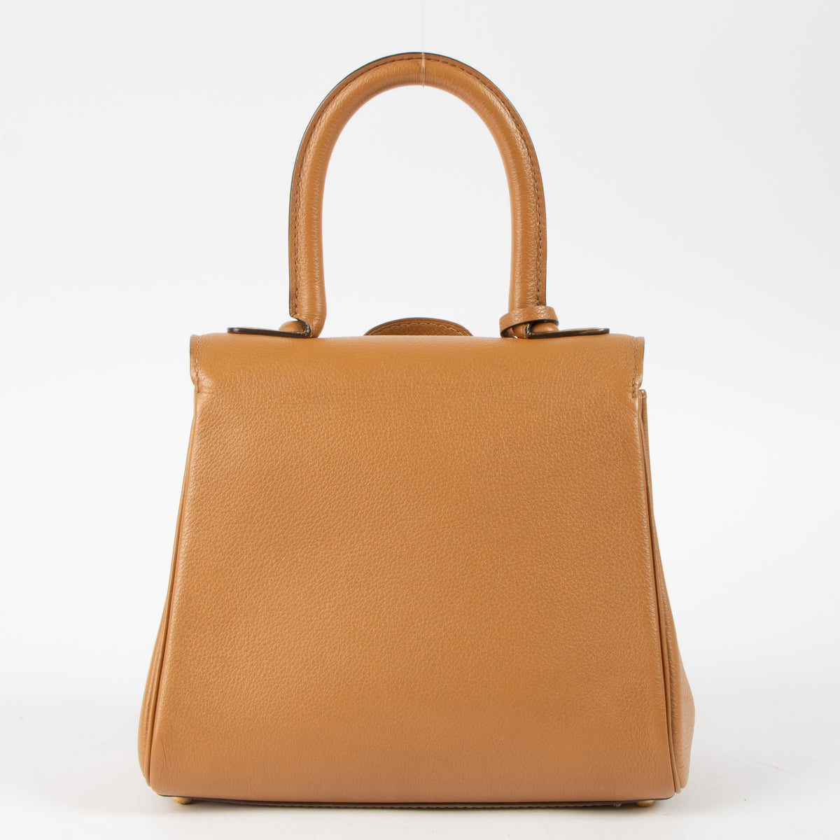 Delvaux Vegetal Sellier Brillant Mini Bag