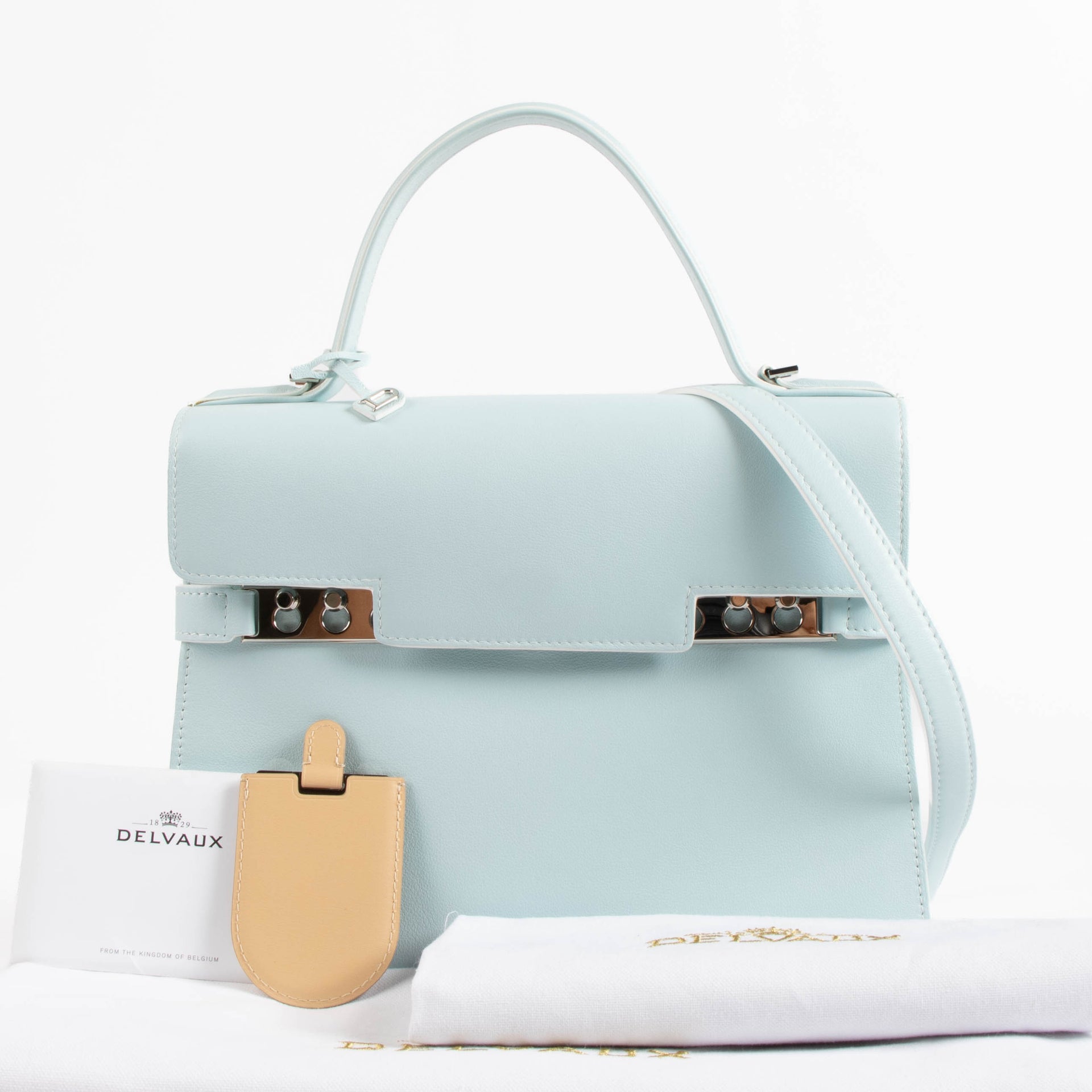 Delvaux Celadon Calf Souple Tempête MM Bag