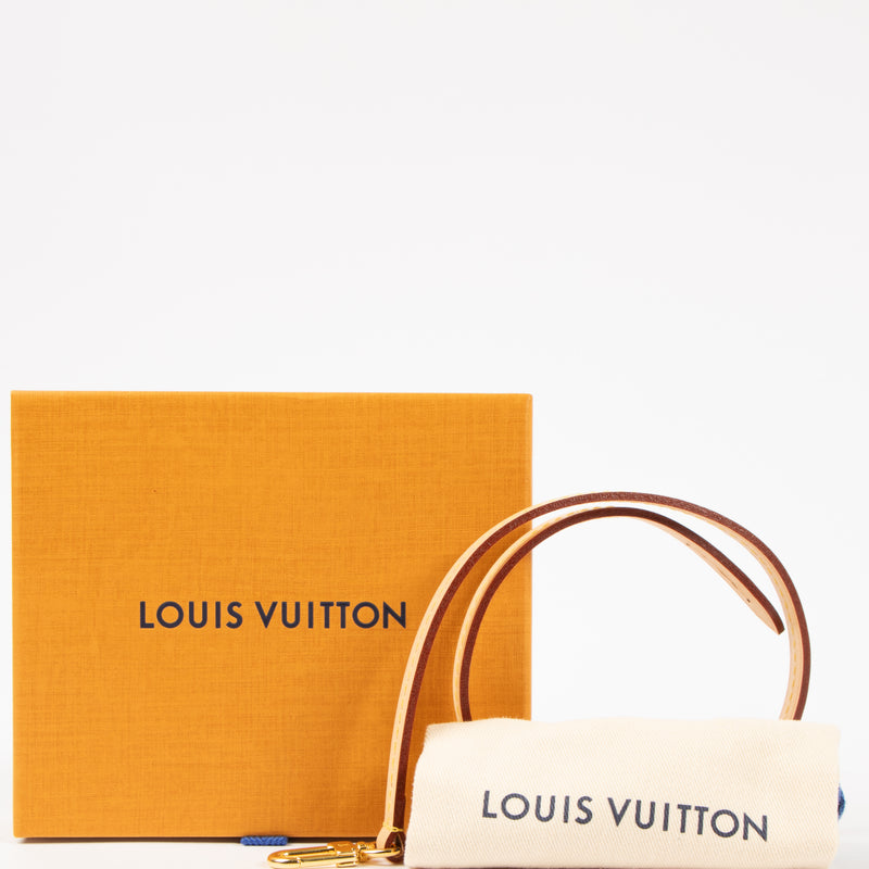Louis Vuitton Pochette Accessoires VVN Strap