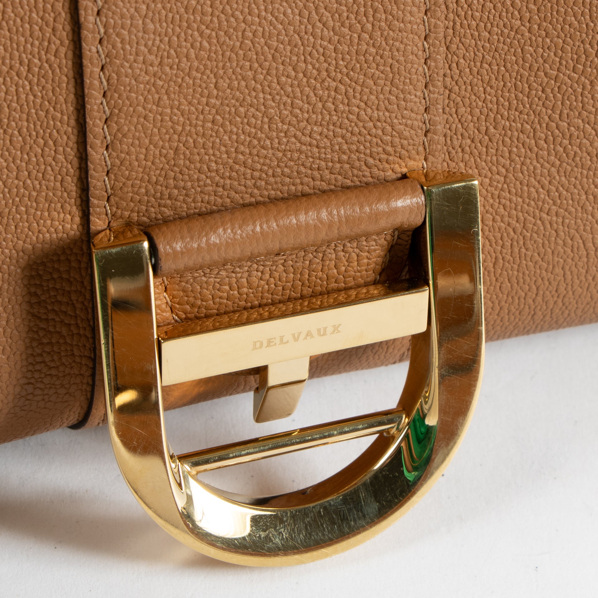 Delvaux Vegetal Rodeo Calf Brillant Mini Bag