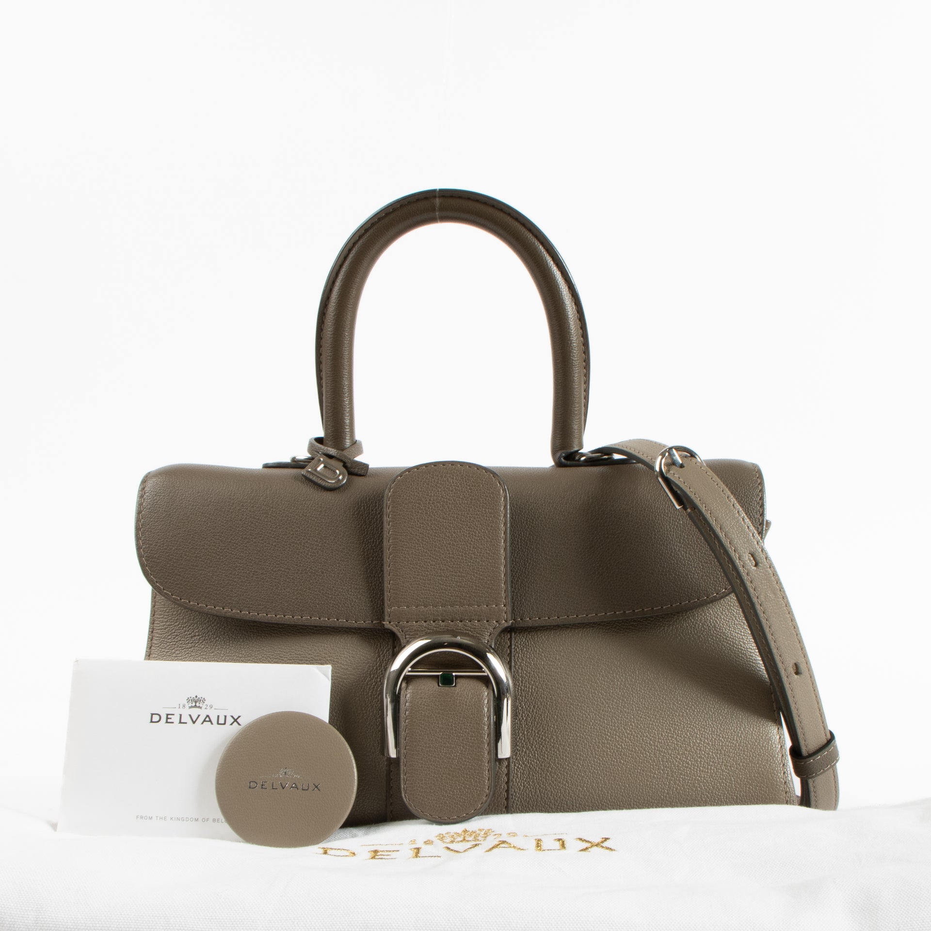 Delvaux Smoke Rodeo Calf Camaieux Brillant East West Mini Bag