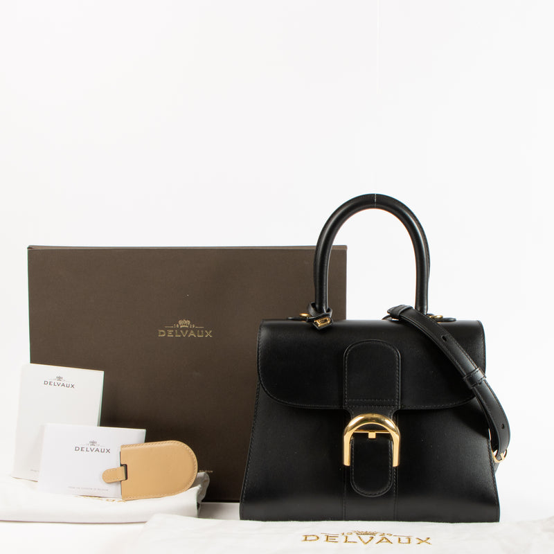 Delvaux Black Box Calf Brillant PM Bag