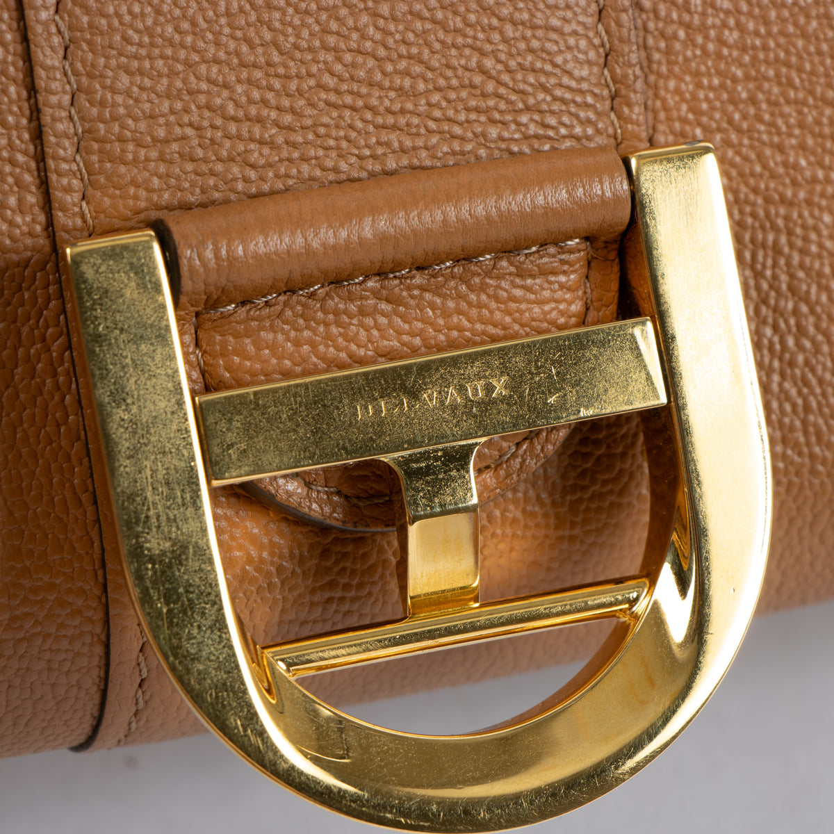 Delvaux Vegetal Rodeo Calf Brillant Mini Bag