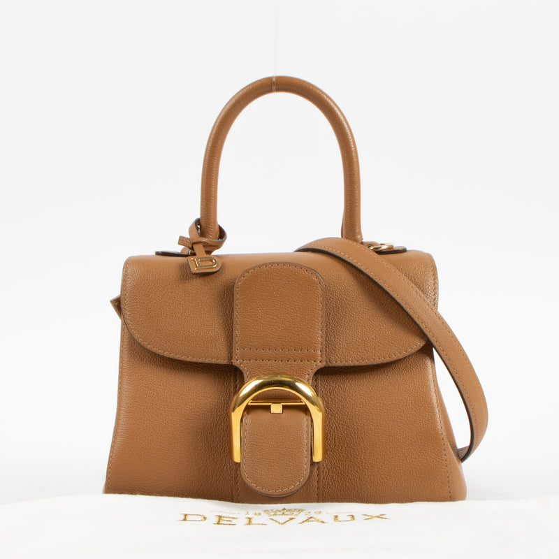 Delvaux Vegetal Rodeo Calf Brillant Mini Bag