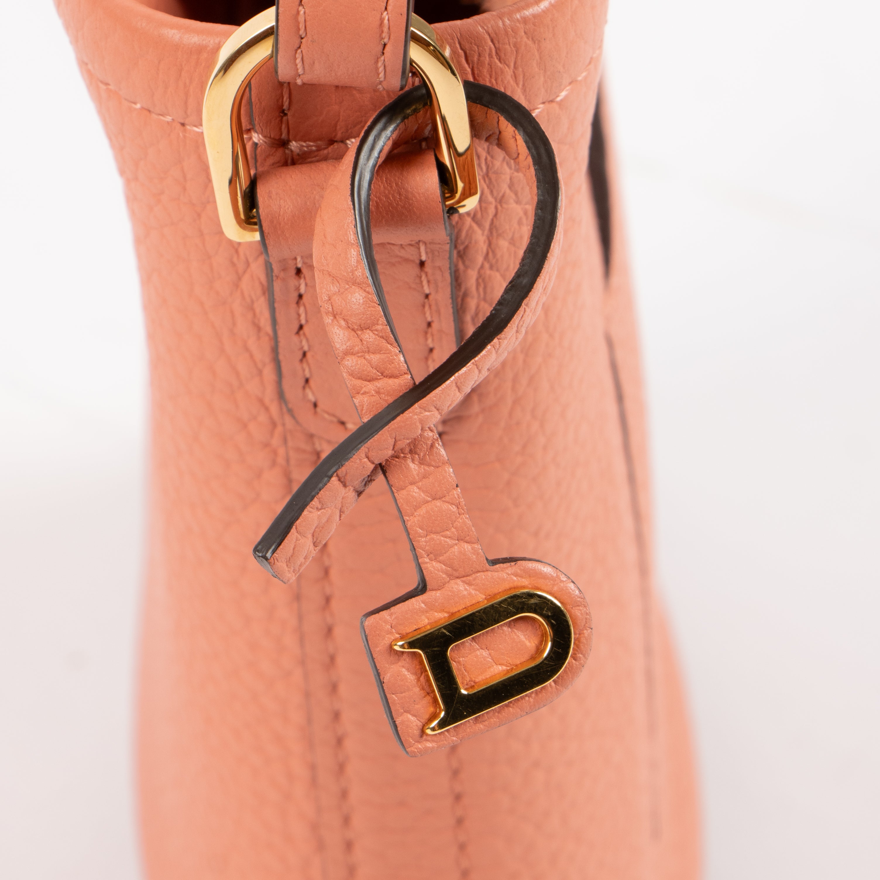 Delvaux Hibiscus Taurillon Soft Pin Toy Bag – Labellov