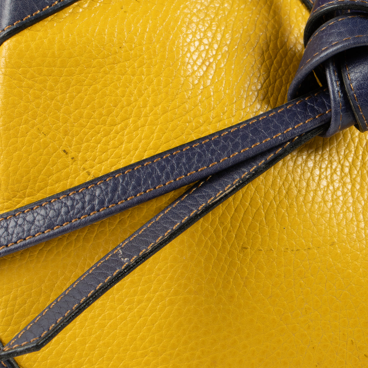 Shop this authentic Delvaux Multicolor Desert Bag pre-loved on Labellov.com