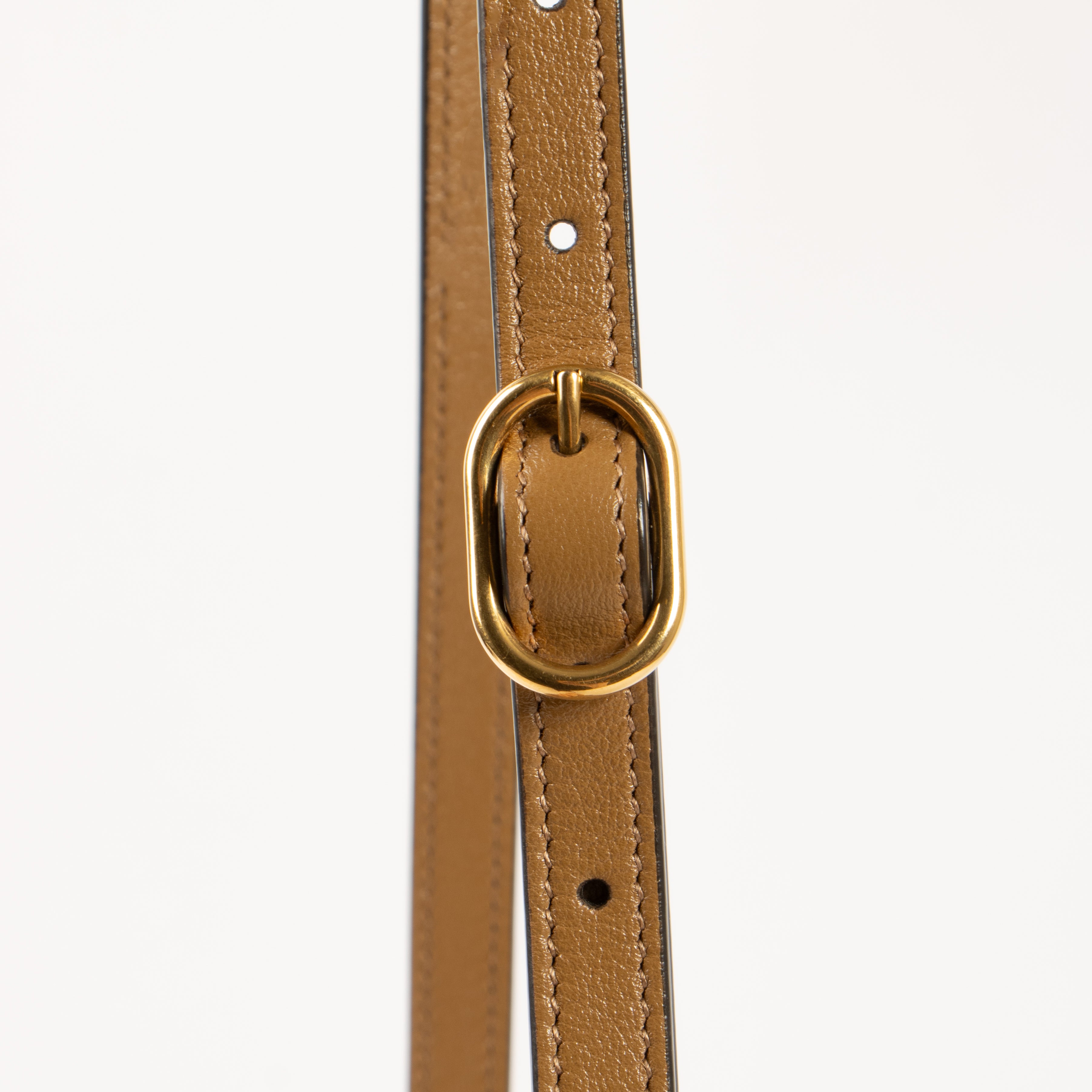 Gucci Camel Leather Web Dahlia Crossbody Bag – Labellov