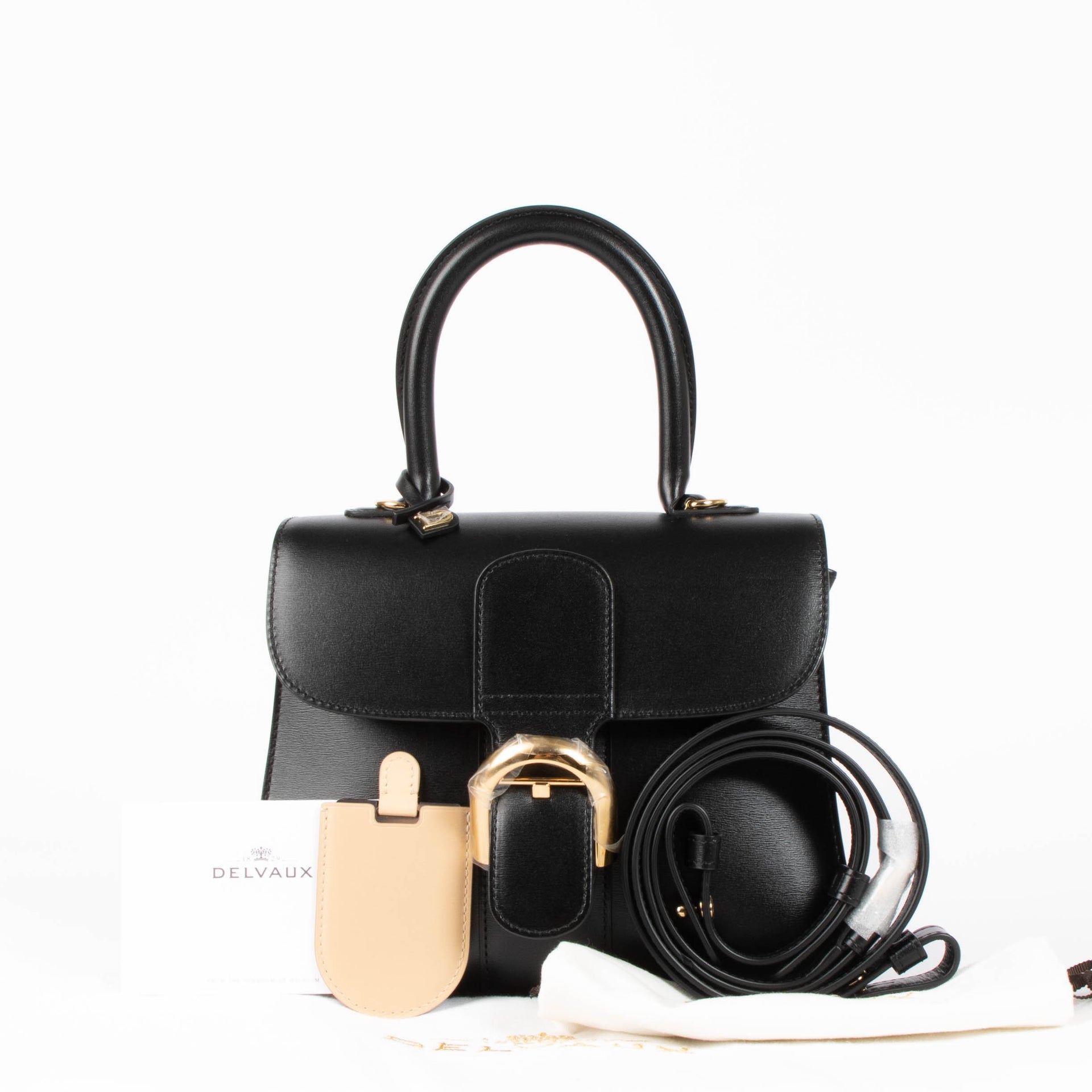 Delvaux Black Box Calf Brillant PM Bag