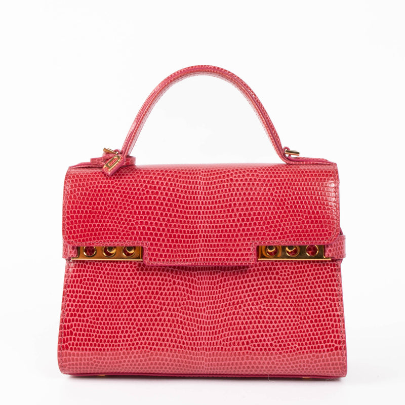 Delvaux Framboise Shiny Lizard Tempête Mini Bag