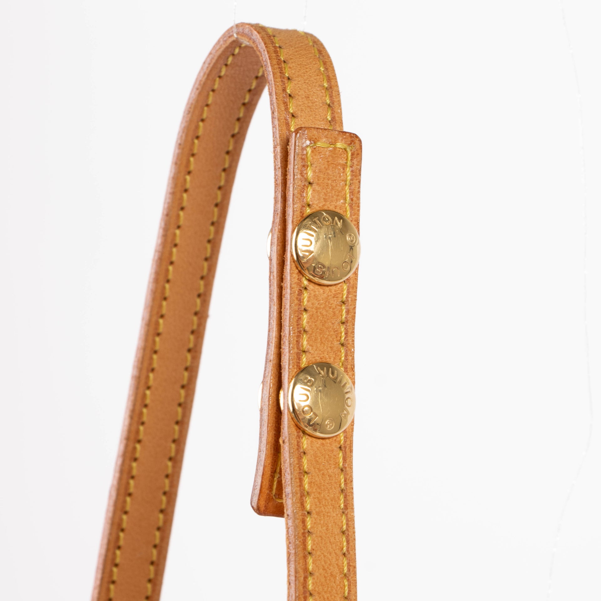 Louis Vuitton Monogram Florentine