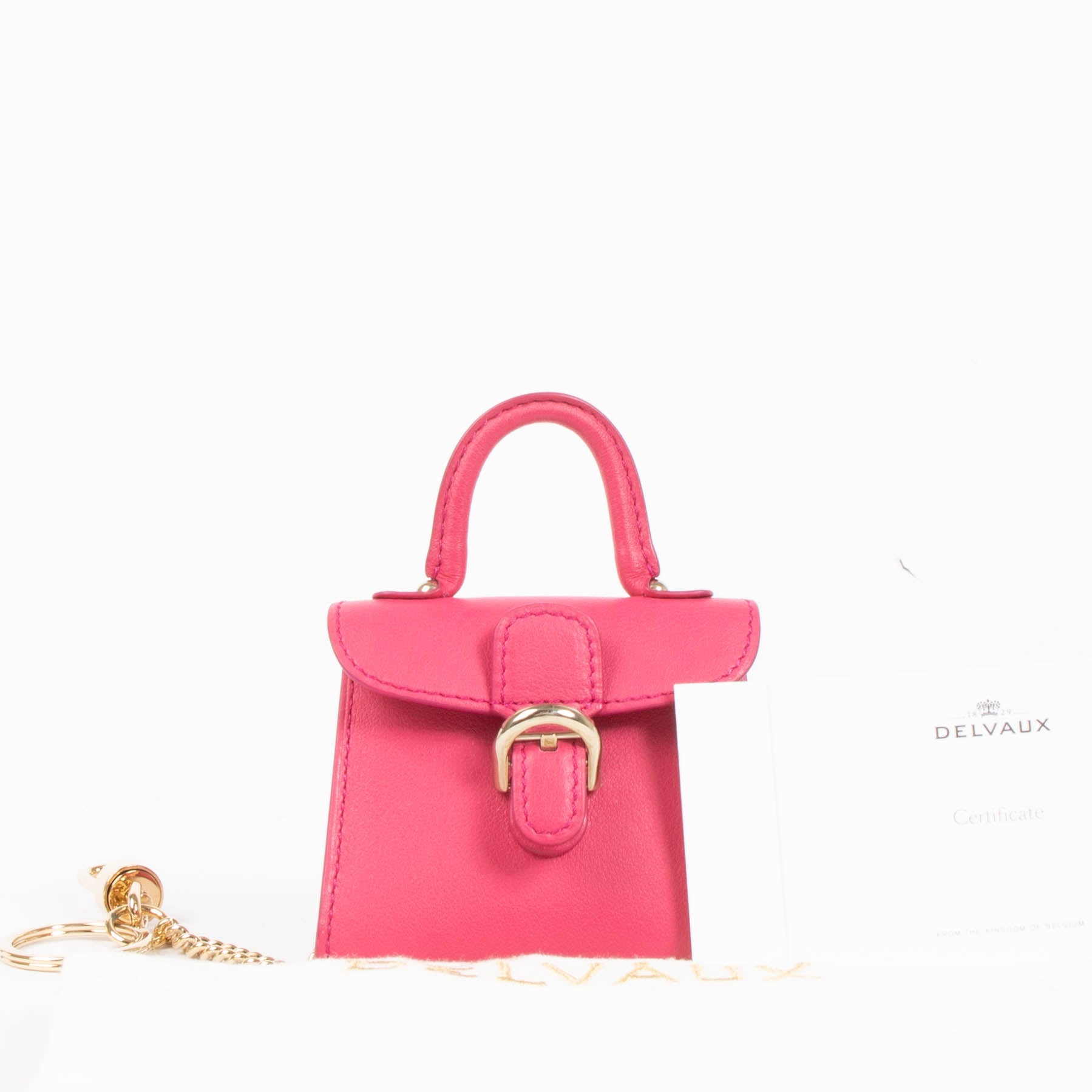Delvaux Rose Indien Polo Brillant Charms