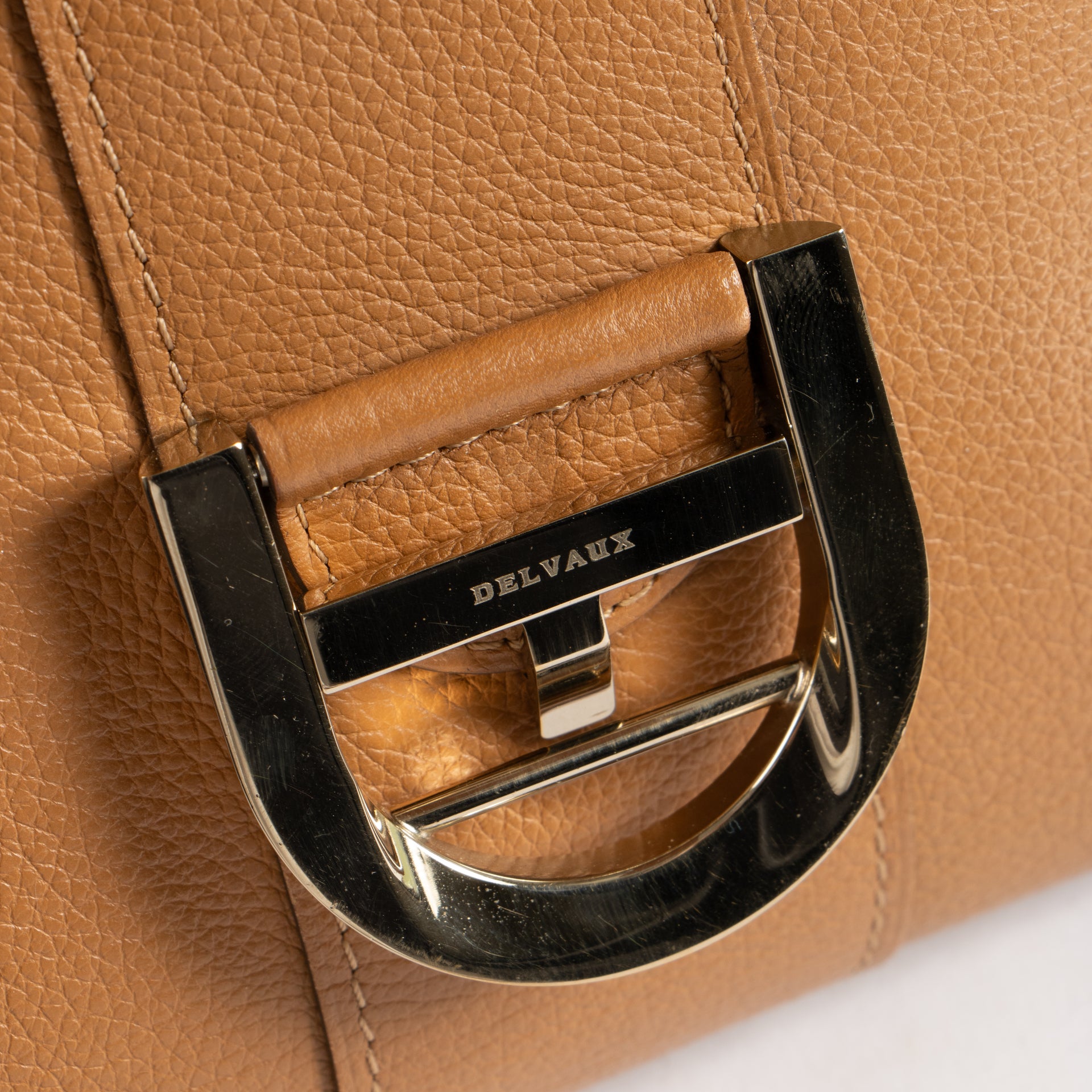 Delvaux Vegetal Sellier Brillant MM Bag