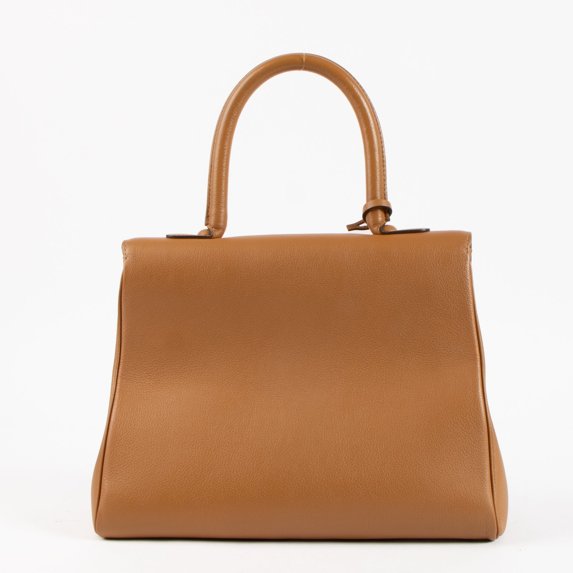 Delvaux Vegetal Sellier Brillant MM Bag