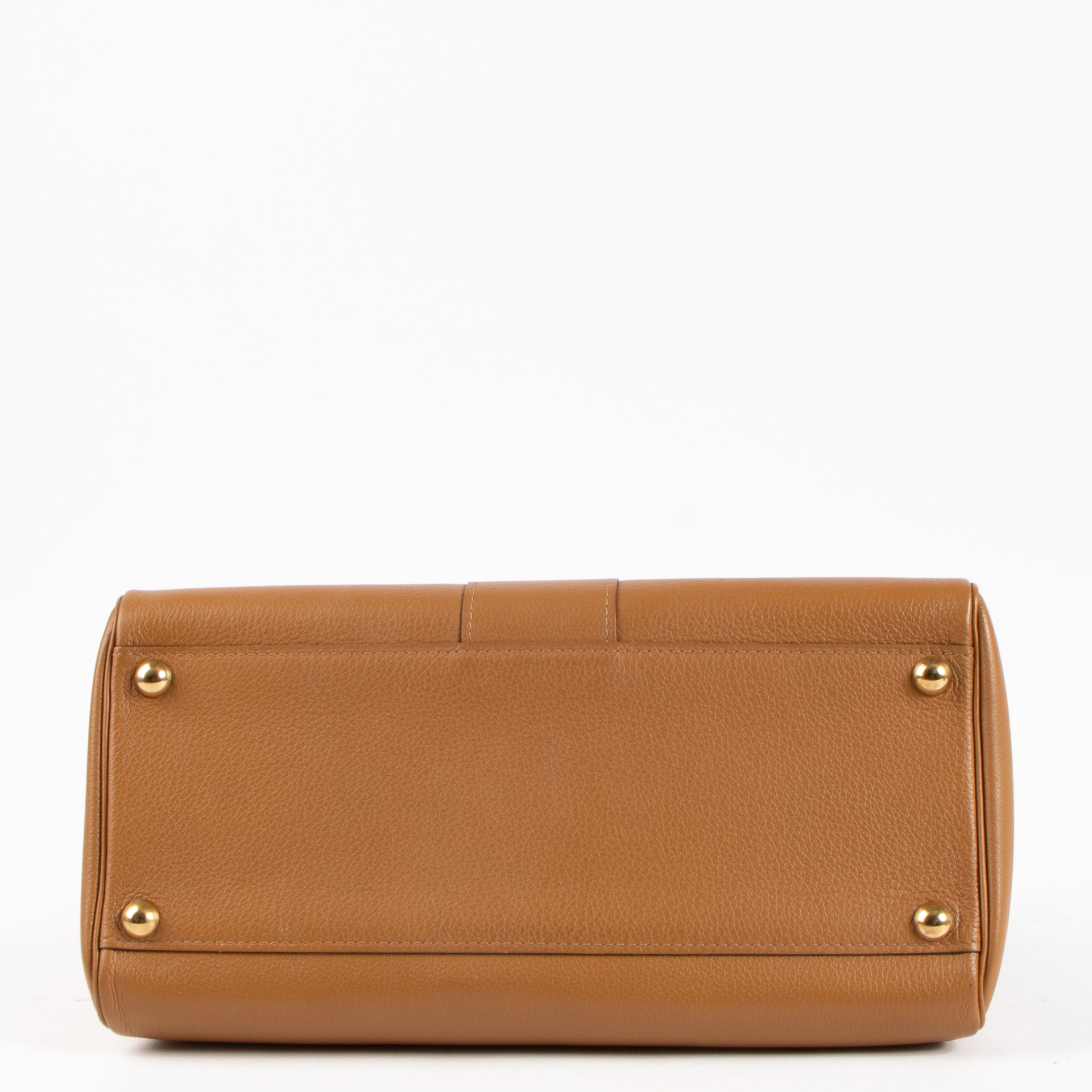 Delvaux Vegetal Sellier Brillant MM Bag