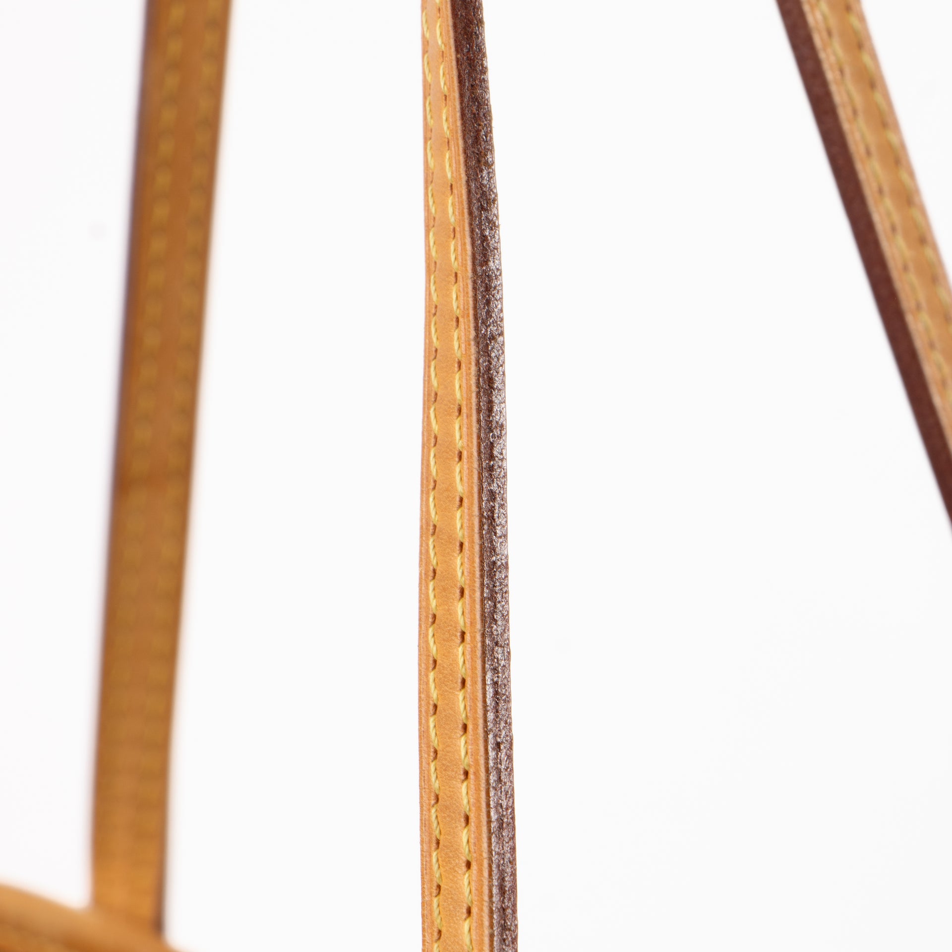 Louis Vuitton Monogram Neverfull GM Bag