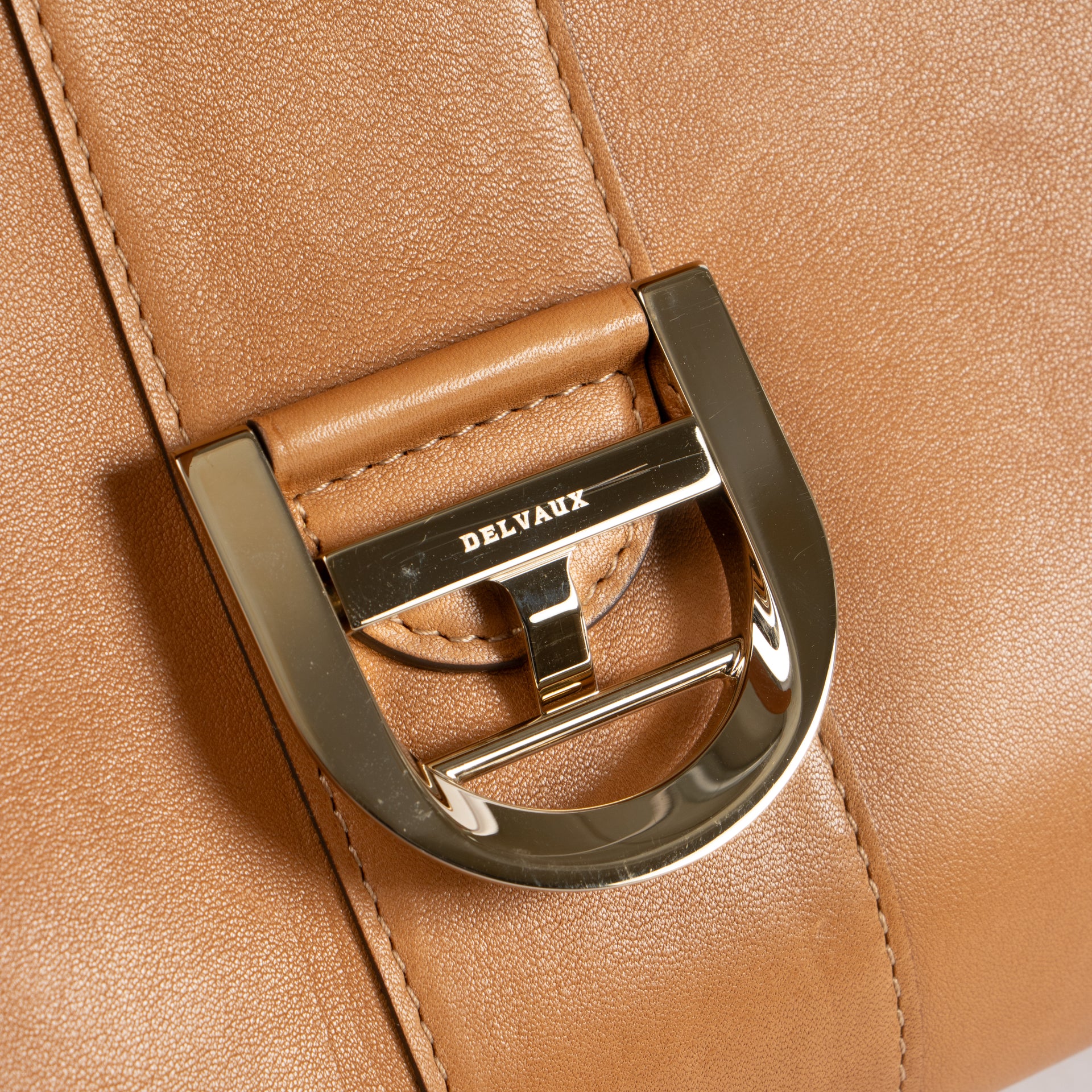 Delvaux Vegetal Alligator/Dream Brillant MM Bag