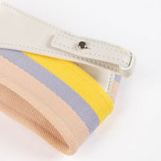 Shop this authentic Delvaux Rainbow Bag Strap pre-loved on Labellov.com