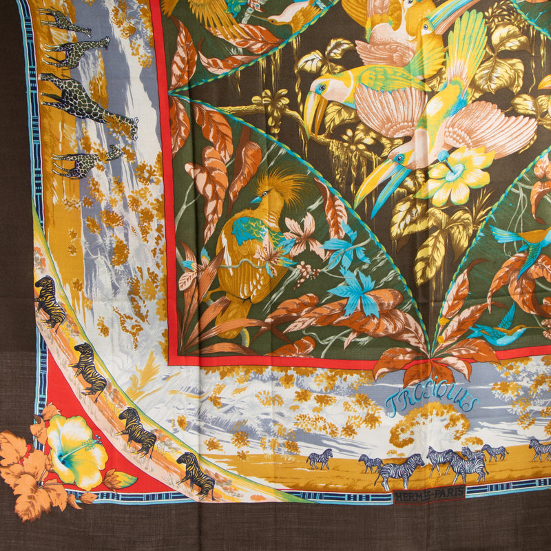 Shop this authentic Hermes Tropiques 140 Shawl pre-loved on Labellov.com