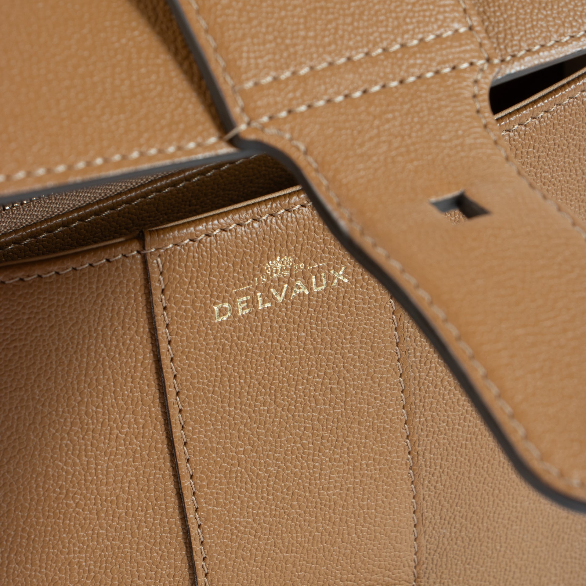 Delvaux Vegetal Brillant Mini East West Bag