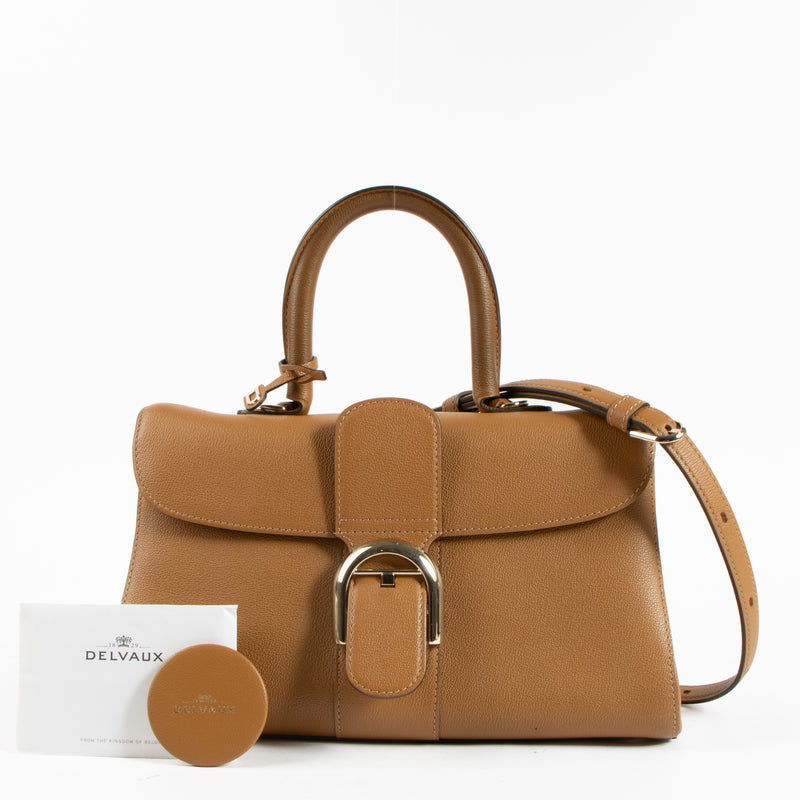 Delvaux Vegetal Brillant Mini East West Bag