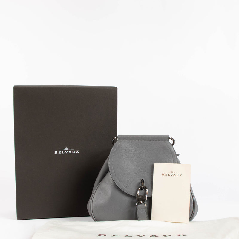 Delvaux Niagara Canter Cerceau PM Backpack/Crossbody Bag