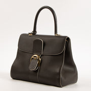 Shop this authentic Delvaux Ebene Rodeo Calf Brillant MM Bag pre-loved on Labellov.com