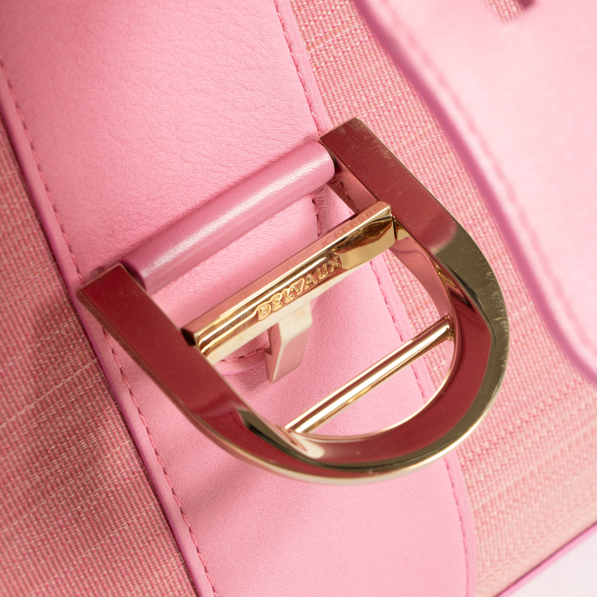 Delvaux Flamingo Toile de Crin/Polo Brillant MM Bag