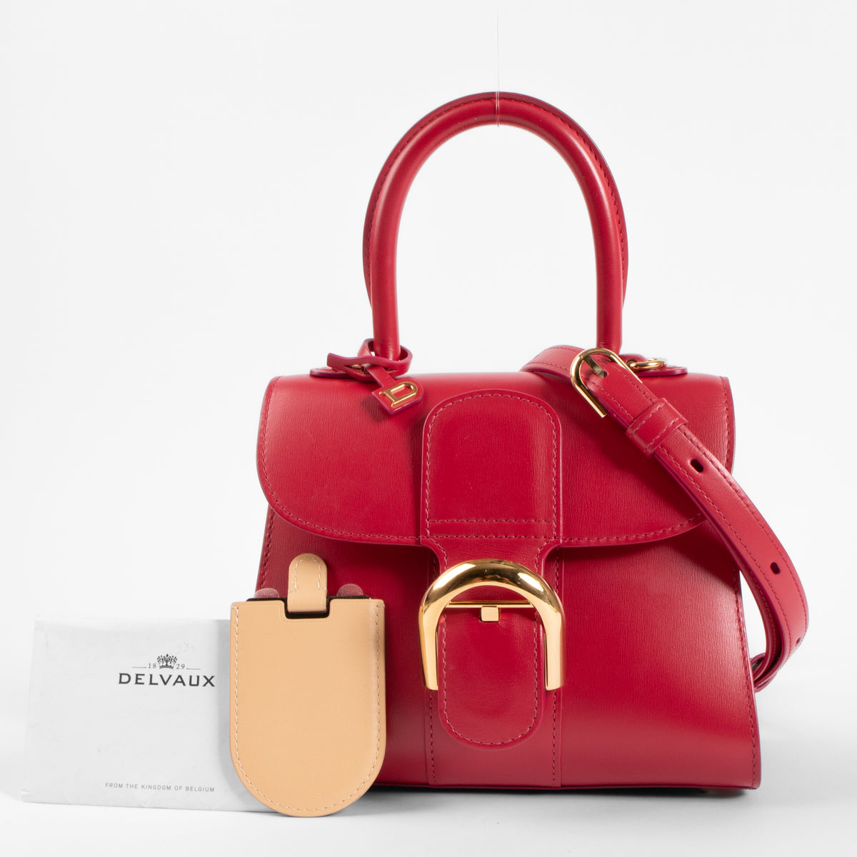 Delvaux Framboise Box Calf Brillant Mini Bag