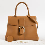 Shop this authentic luxury Delvaux Vegetal Sellier Brillant MM Bag Pre-Loved on Labellov.com