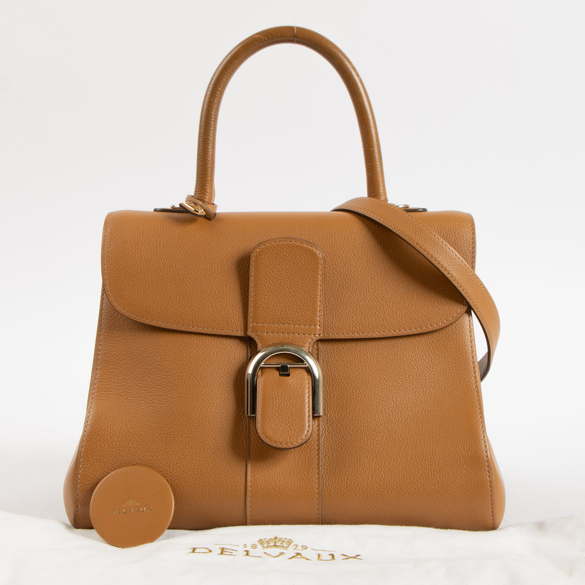 Shop this authentic luxury Delvaux Vegetal Sellier Brillant MM Bag Pre-Loved on Labellov.com